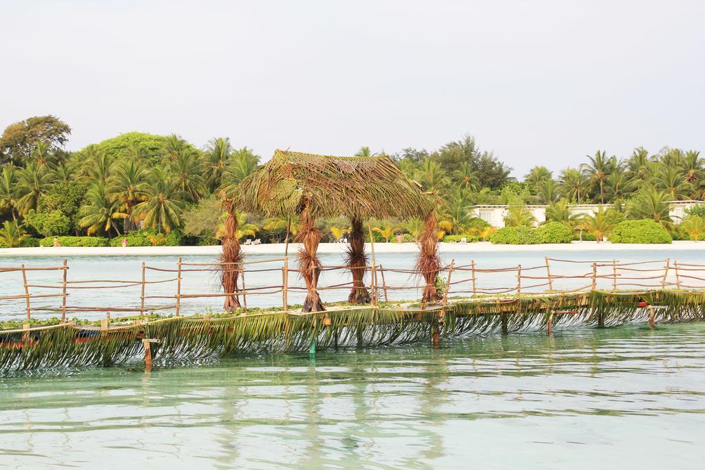 Kaafu Inn Guraidhoo Guraidhoo (Kaafu Atoll) Exterior foto