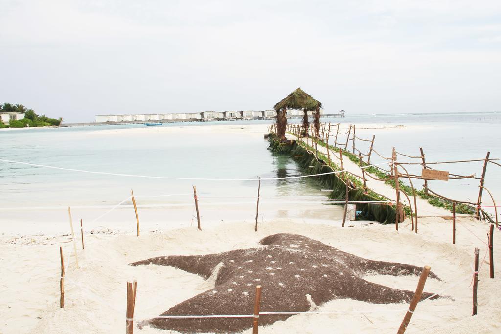 Kaafu Inn Guraidhoo Guraidhoo (Kaafu Atoll) Exterior foto