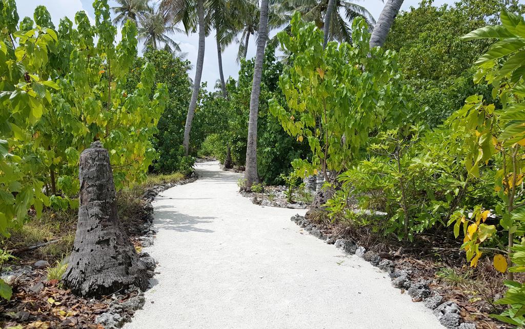 Kaafu Inn Guraidhoo Guraidhoo (Kaafu Atoll) Exterior foto